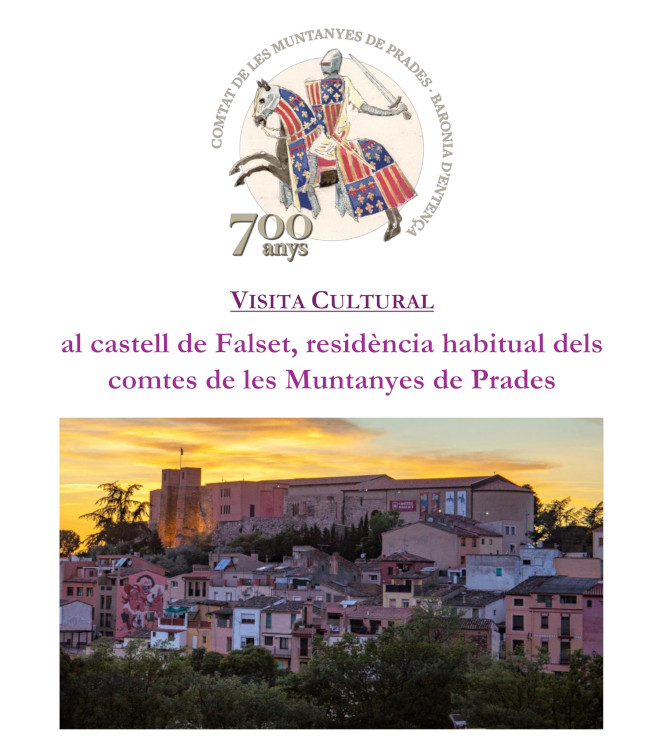 Imatge de l'agenda Sortida al Castell de Falset-Museu Comarcal de Falset