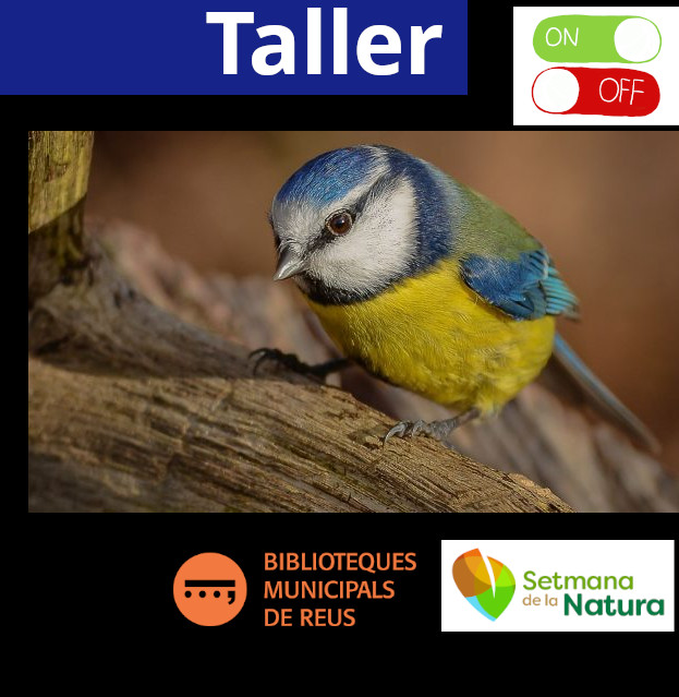 Imatge de l'agenda Taller «Ocells insectívors : els millors aliats com a insecticides naturals»
