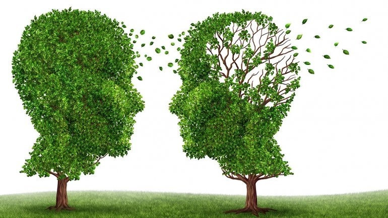 Bibliografia sobre l’alzheimer