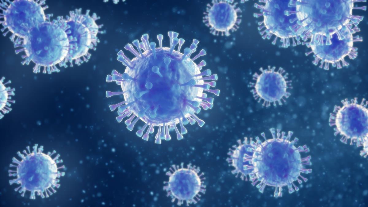 Recomanacions sobre virus i pandèmies