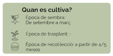 Biblioteca de les llavors