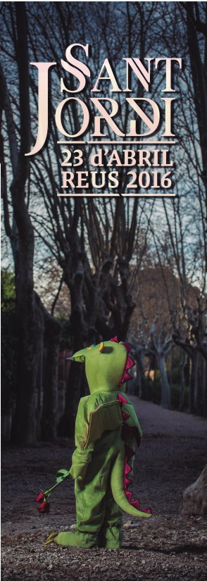 Punt de llibre 2016