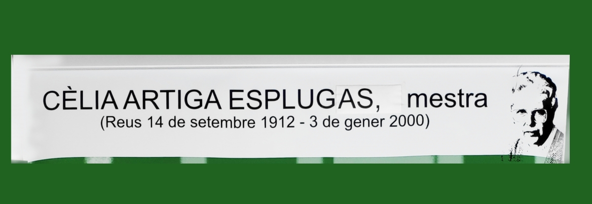 Exposició Cèlia Artiga