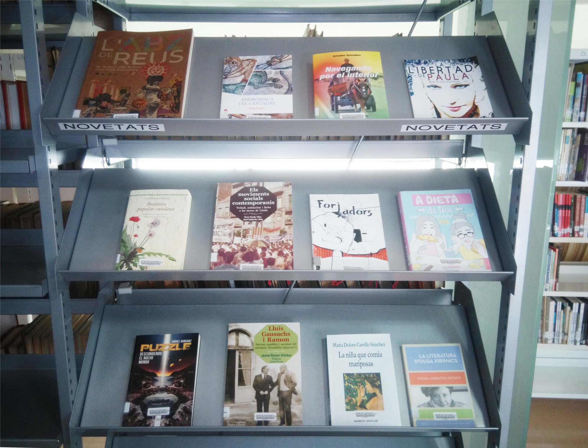 Disponibles les novetats de la Col·lecció Local de la Biblioteca