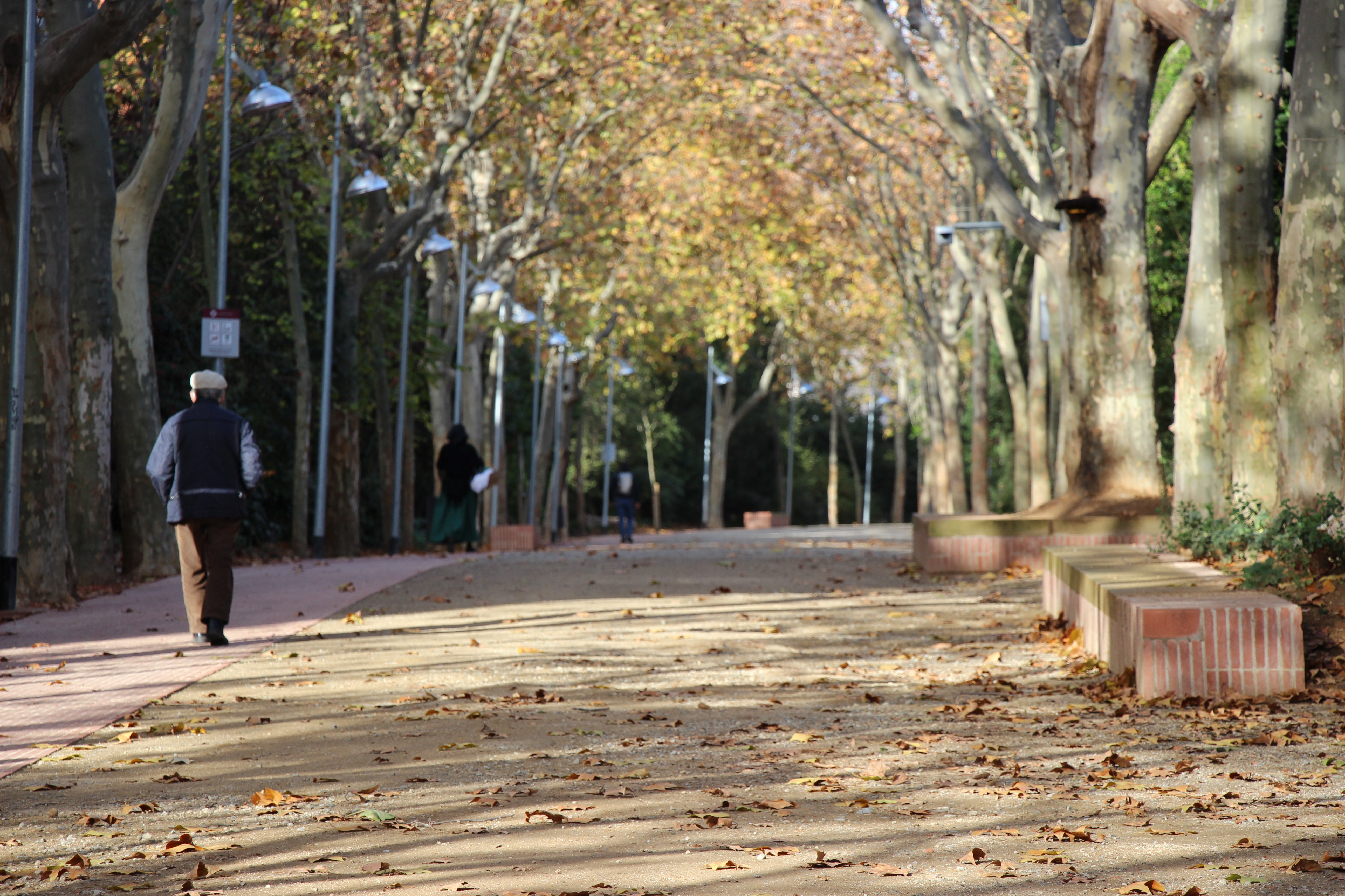Març, marçot versos per tot: Ruta de l'aigua de la Boca de la Mina.