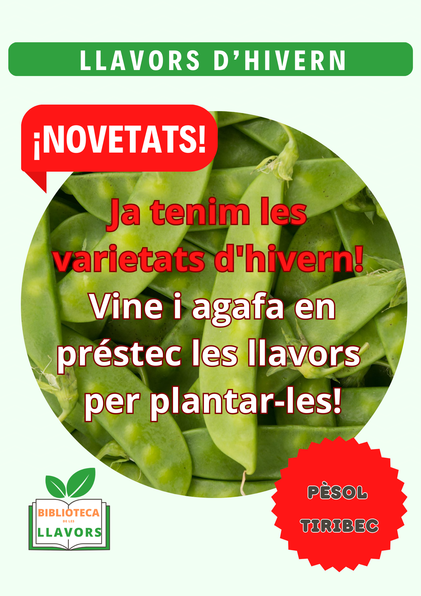 Ja tenim les llavors d'hivern ! Veniu a buscar-les!