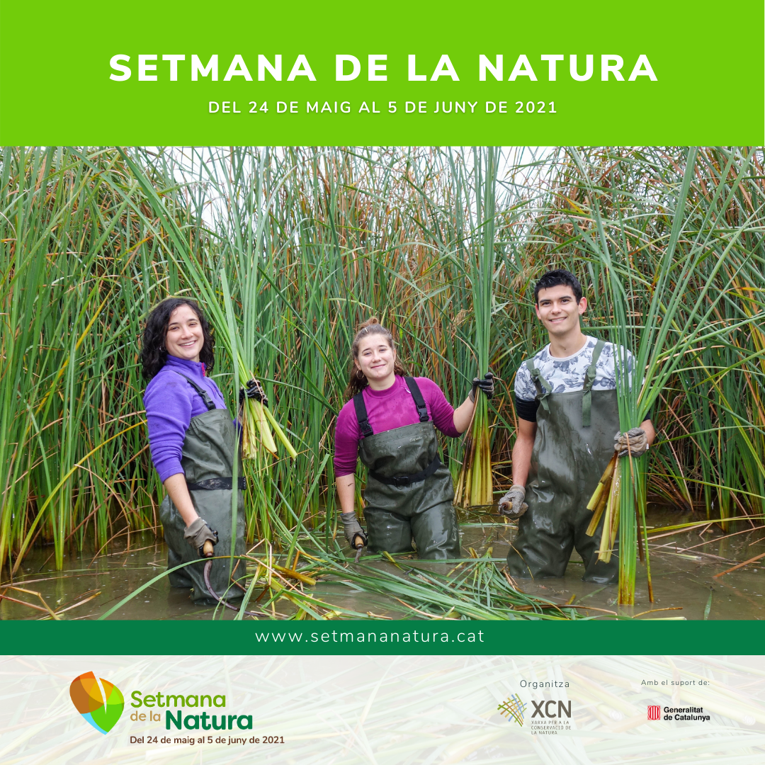 Celebrem la Setmana de la natura