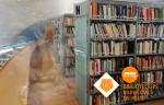 Clubs de lectura virtuals a les Biblioteques Municipals de Reus