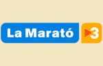 Xerrada sobre la Marató de TV3