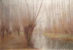Novembre