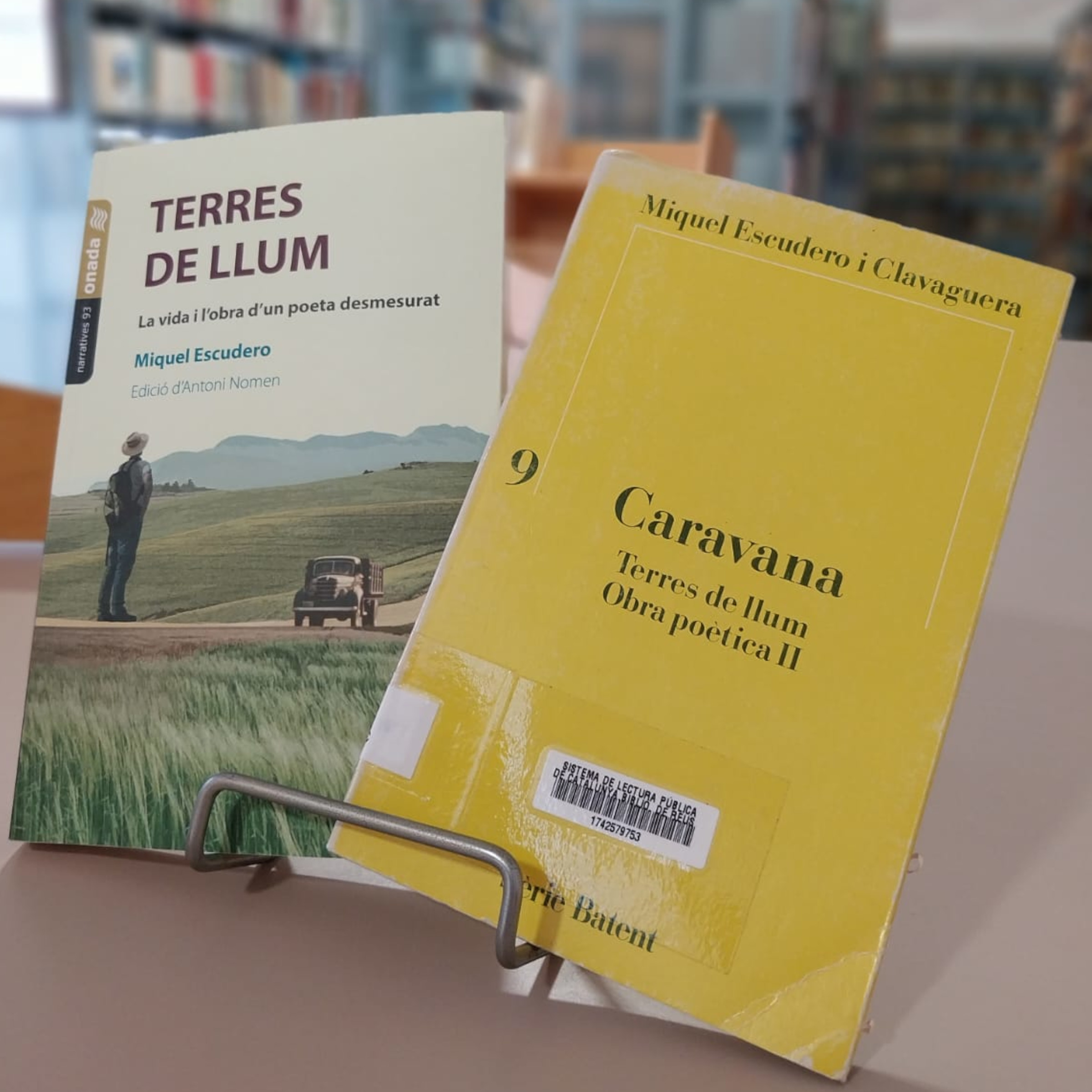 TERRES DE LLUM